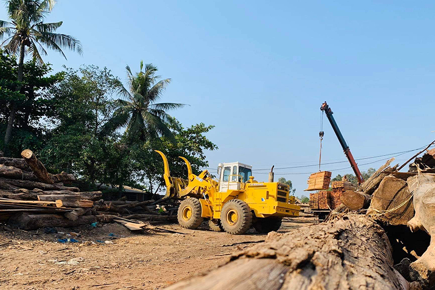 Hoạt động phát triển